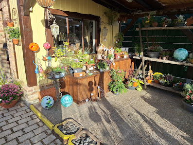Gärtnerei Kolb