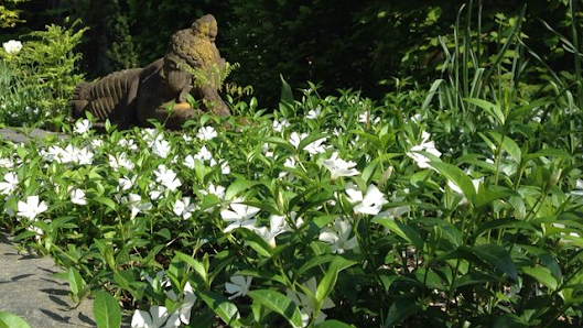 Porth Gartengestaltung GmbH