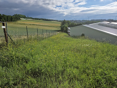 Garten u. Landschaftspflege Patrick Lossa