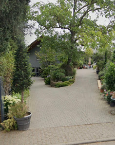 Service in Grün