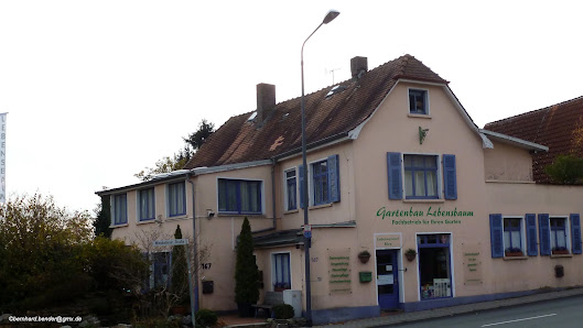 Marton Nagy Gartenbau Lebensbaum