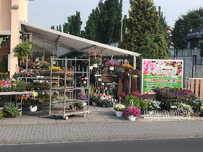 Blumen Niebergall