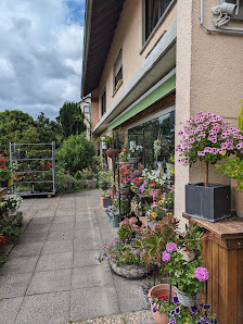 Blumen Niebergall