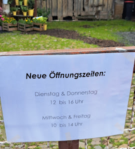 Laura's Blütenzauber