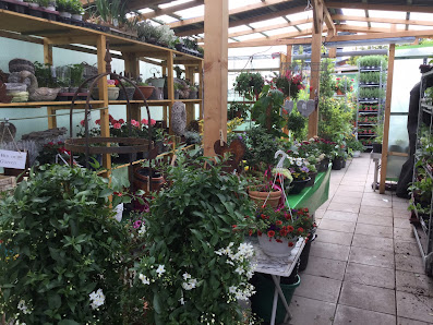 GartenCenter Neu-Anspach