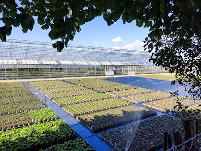 Gartenbau Stefan Albers