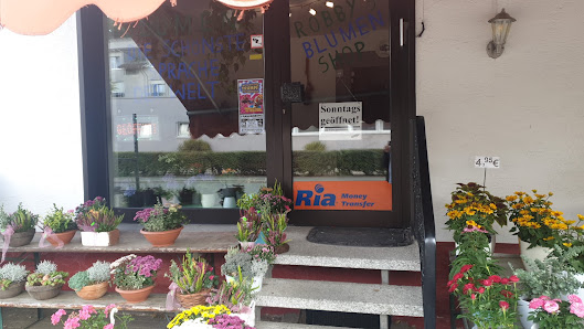Robby´s Blumenshop - Robbys Blumengeschäft - Blumen in Frankenberg