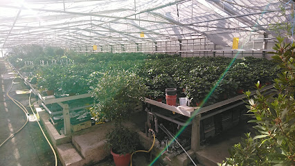 Blumengeschäft