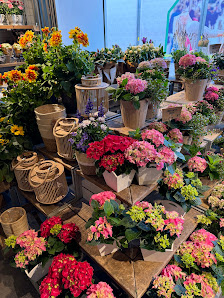 BLUME2000 Sulzbach Main-Taunus-Zentrum