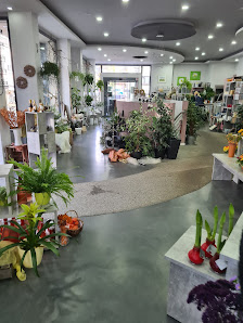Blumenladen Das Gänseblümchen