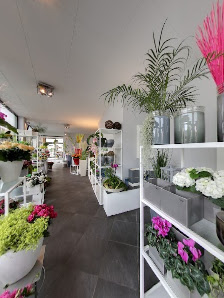 Florales Ambiente