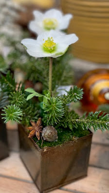 Blumen Borchardt