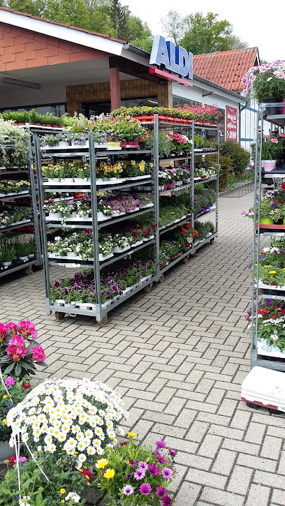 Rotenburger Blumen-Basar Inh. Ayse Eser & Tülin Sülük