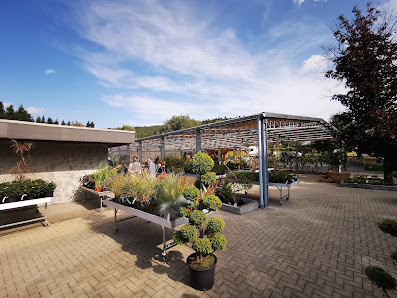 Pflanzenzentrum Dunst