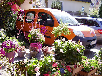 Blumenstübchen Hausbruch