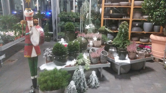 Gartencenter Hollerbuhl