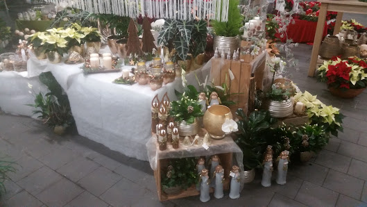 Gartencenter Hollerbuhl