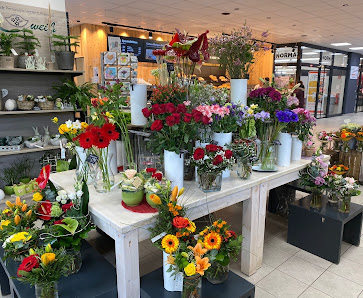 Blumen Edelweiß Hünfeld (Norma)