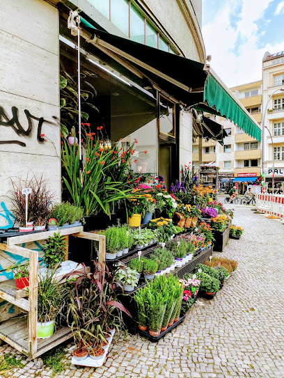 Blumen Diu An