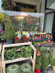 Blumen Diu An