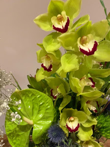 Blumen Diu An