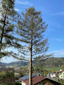LWForst & Gartenservice GmbH