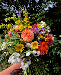 Zuhause im Garten - Schnittblumen
