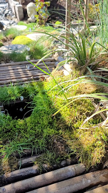 SJ Gartendesign - Garten- und Landschaftsbau