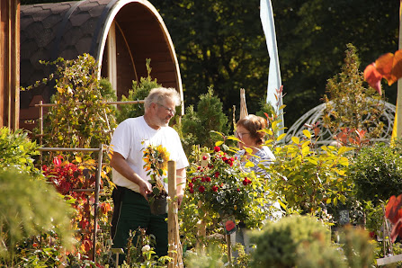 Pflanzen & Gartenbau Wenk