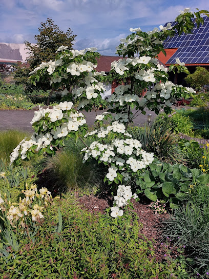 Tim Kubitza Gartengestaltung