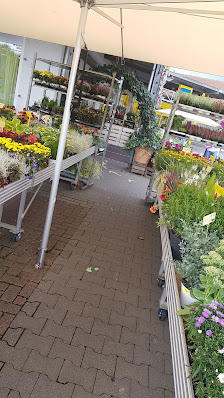 Reinhold's Blumenladen
