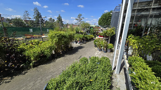Langohr Fachmarkt