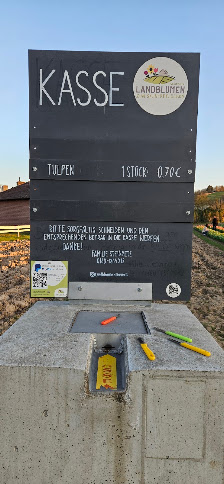 Tulpenfeld Landblumen Steinmetz zum selbst pflücken