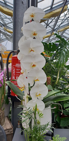 Gartencenter Meckelburg