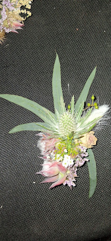 Kietzblume