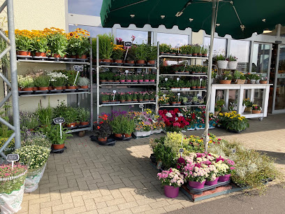 Blumengeschäft