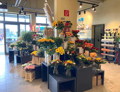 Blumen Edelweiß Edermünde-Besse