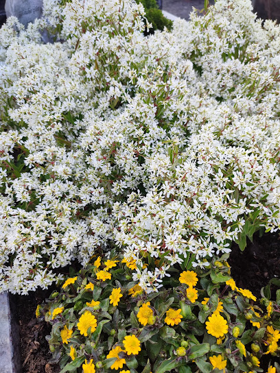 Blumenmarkt in Rasdorf