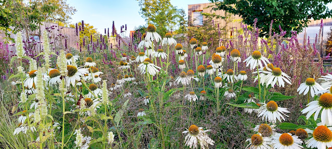 Blumen&Gärten