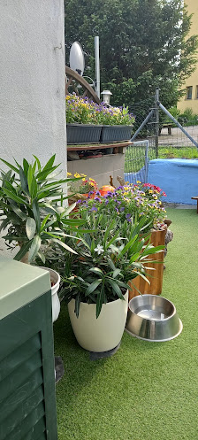 ReGe Gartenpflege
