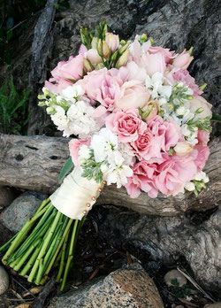 Florasonni