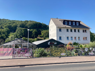 Blumen Center Hann. Münden