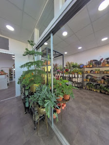 Schönes aus Blumen München
