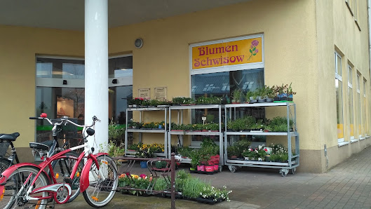 Blumen Schwisow GmbH & Co.KG