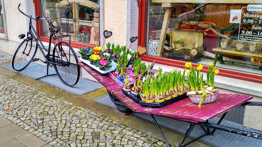 Blütenzauber
