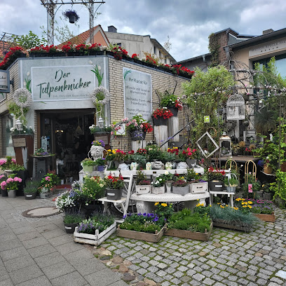 Der Tulpenknicker Bergen