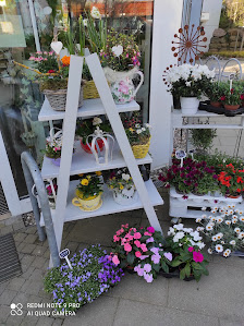 Blumenwiese