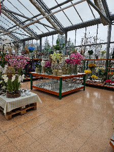 Sundflor · Blumen Handels- & Beteiligungsgesellschaft mbH