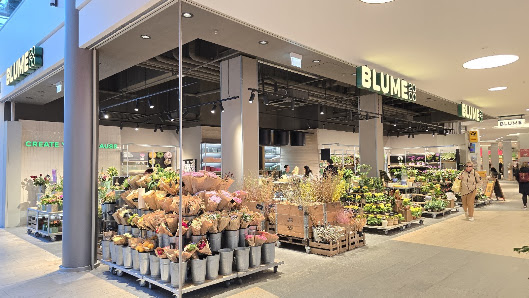 BLUME2000 Stralsund