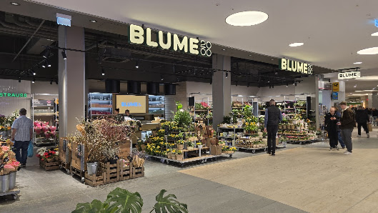 BLUME2000 Stralsund